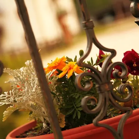 Garni Pra Fiori Hotel Campitello di Fassa